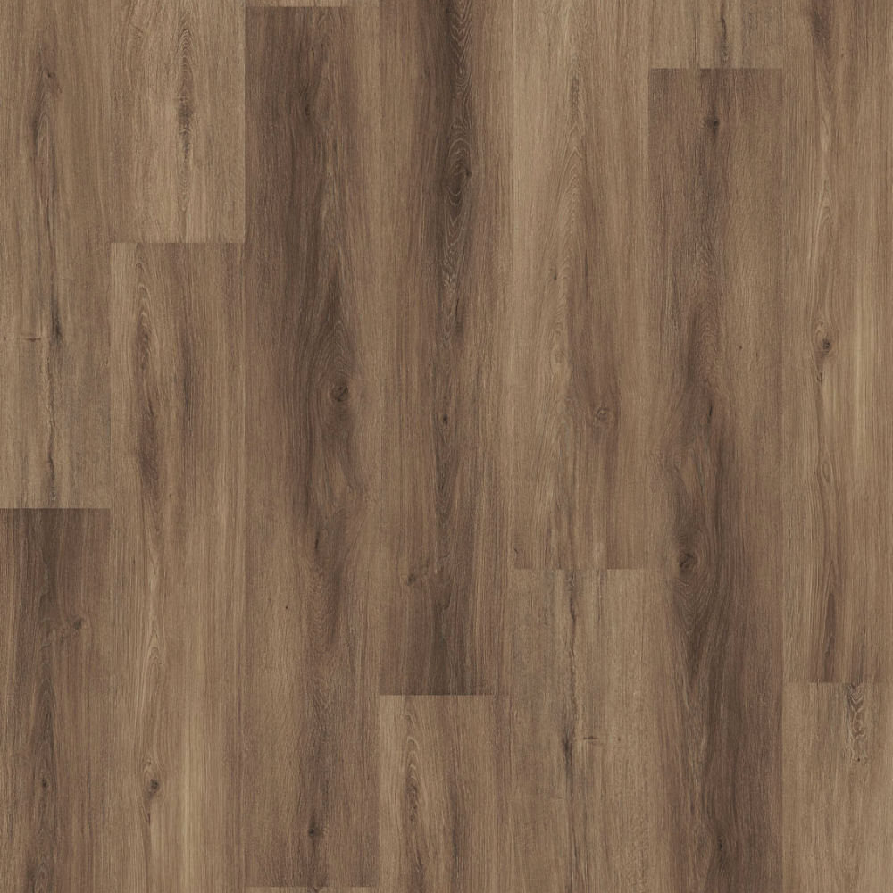 DESIGN 555 5311 Cinnamon Oak 2,5mm/NS 0,55mm Dryback 