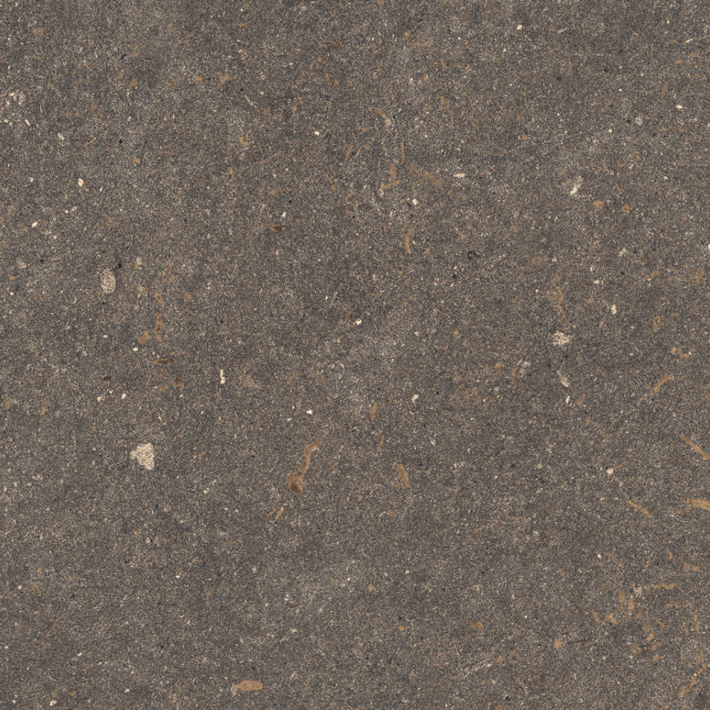 60x120 2cm Kora Coffee Matt 