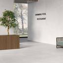 60x120cm Capitol Pearl Matt