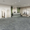 DESIGN 555 Evolut 5919 Graphite Grey Klebe Vinyl 2,5mm/NS 0,55  98,6 cm x 49,3 cm