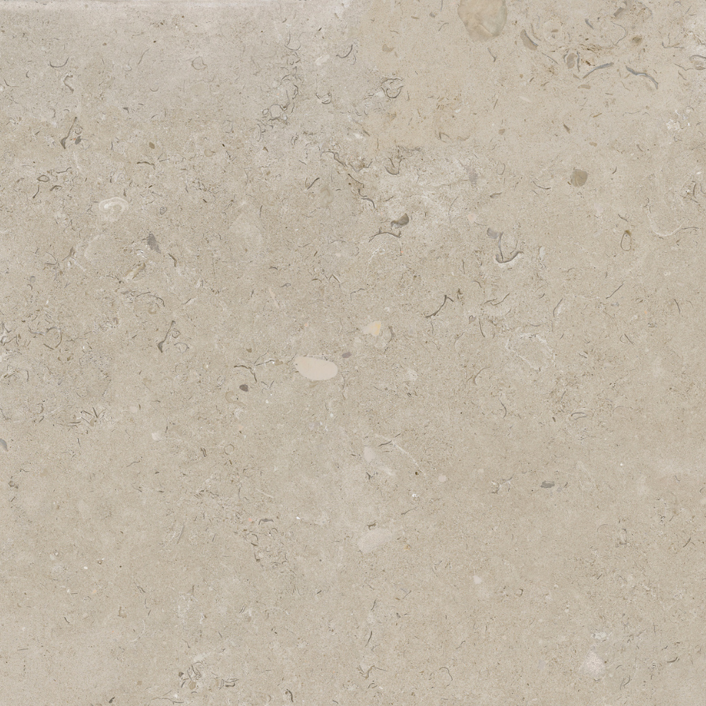 60x60 2cm Coralina Beige Matt  
