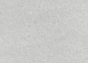 SPC Wandpaneel 120x265x0,4cm Matt Concrete Mist